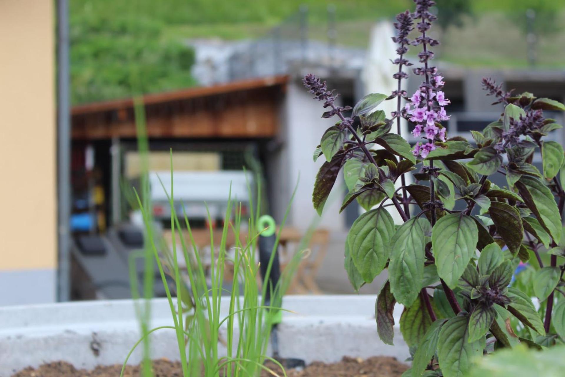 Alpenbauernhaus Konzett Schruns Ngoại thất bức ảnh